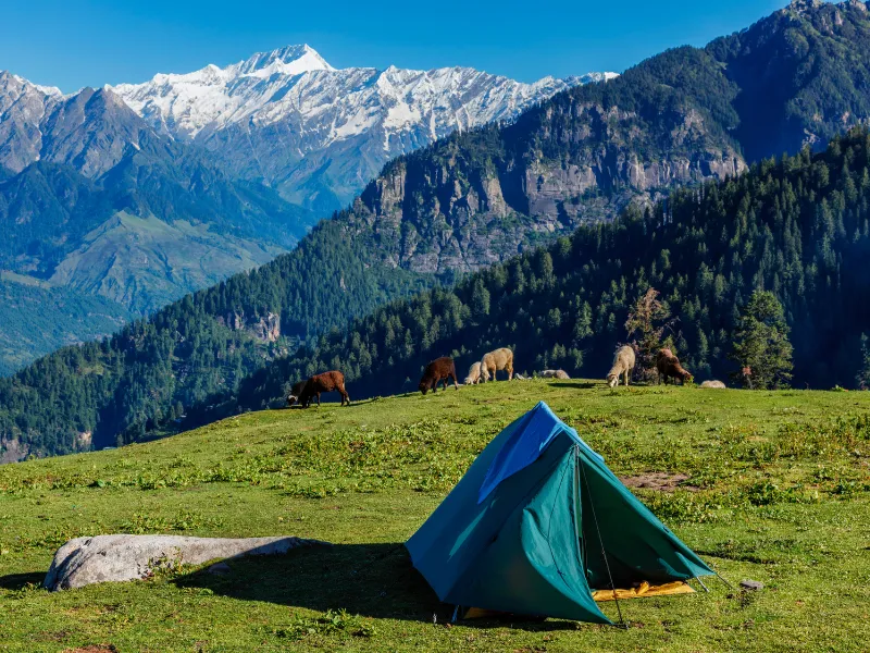 Himachal Extensions 