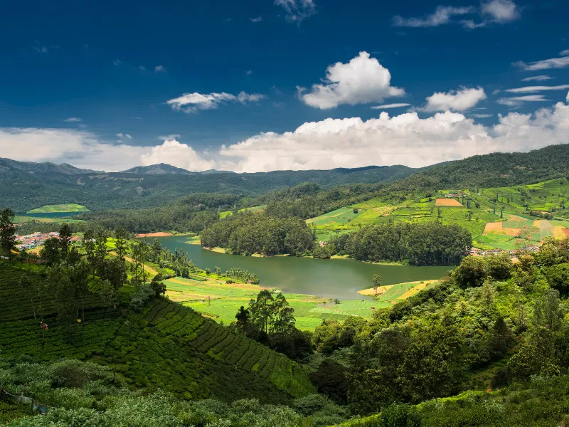 Ready Package - Mysore / Ooty / Kod