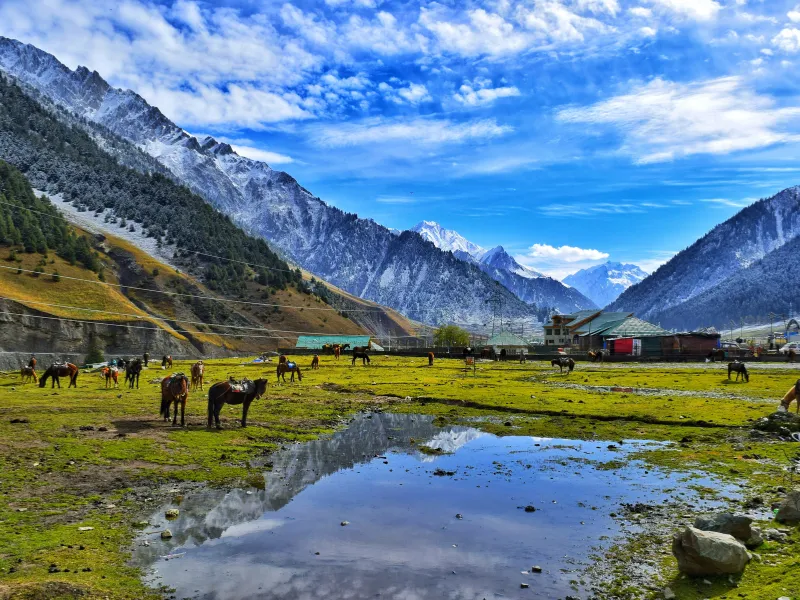 Nomadic Kashmir